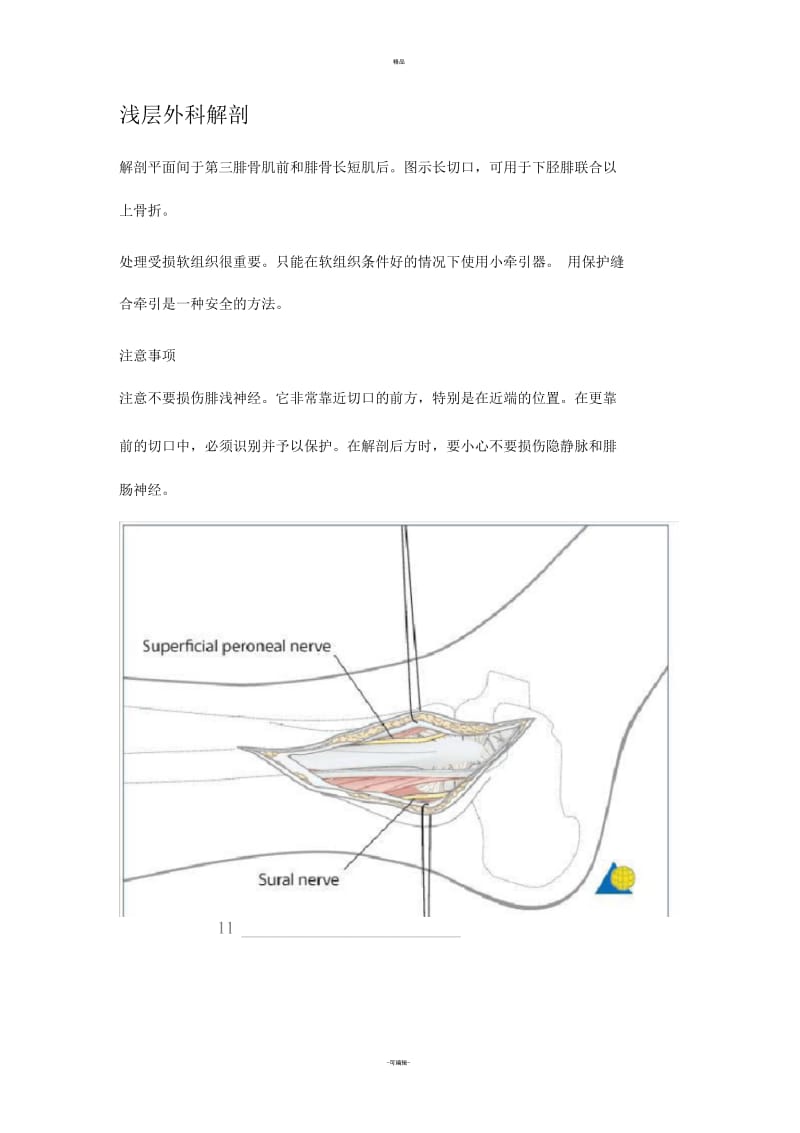 外踝及腓骨下段手术入路.docx_第2页