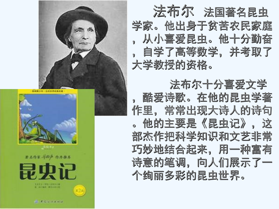 语文人教版四年级上册蟋蟀的住宅.《蟋蟀的住宅课件》(公开课精品课件).ppt_第2页