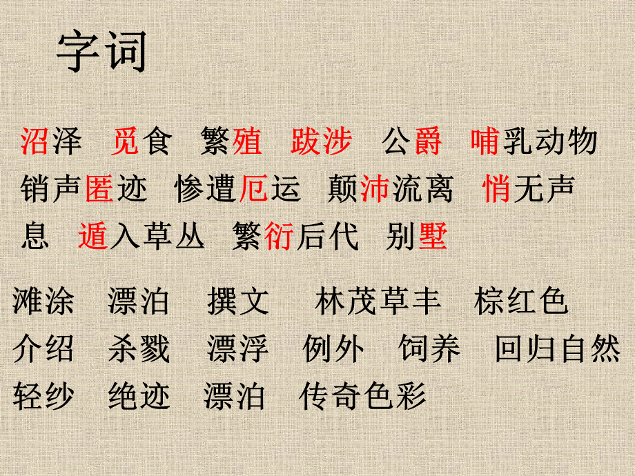 麋鹿 (2).ppt_第3页