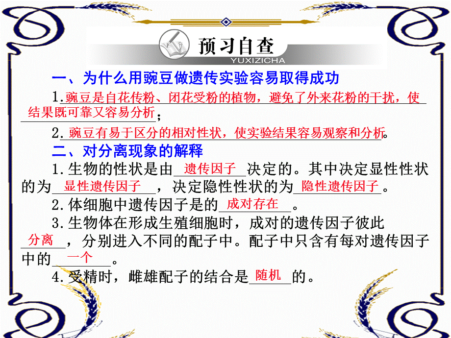 11孟德尔的豌豆杂交实验（一）（共15张PPT）.ppt_第3页