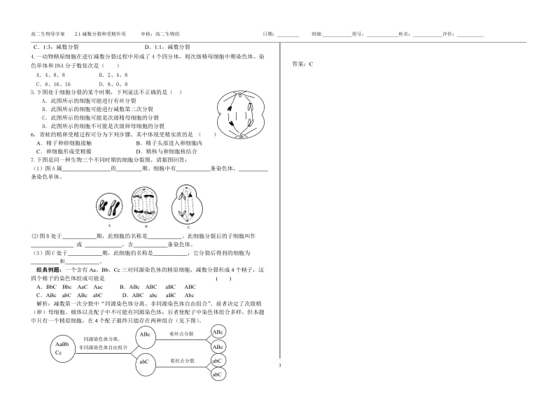 减数分裂和受精作用.doc_第3页