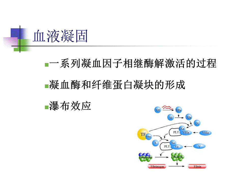 弥散性血管内凝血概念.ppt_第3页