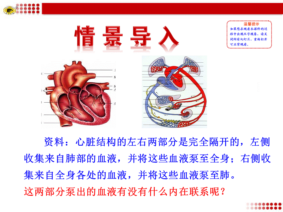 第三节输送血液的泵——心脏（二）.ppt_第2页