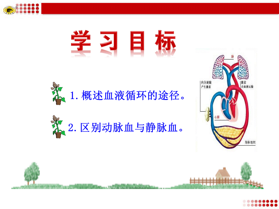 第三节输送血液的泵——心脏（二）.ppt_第3页