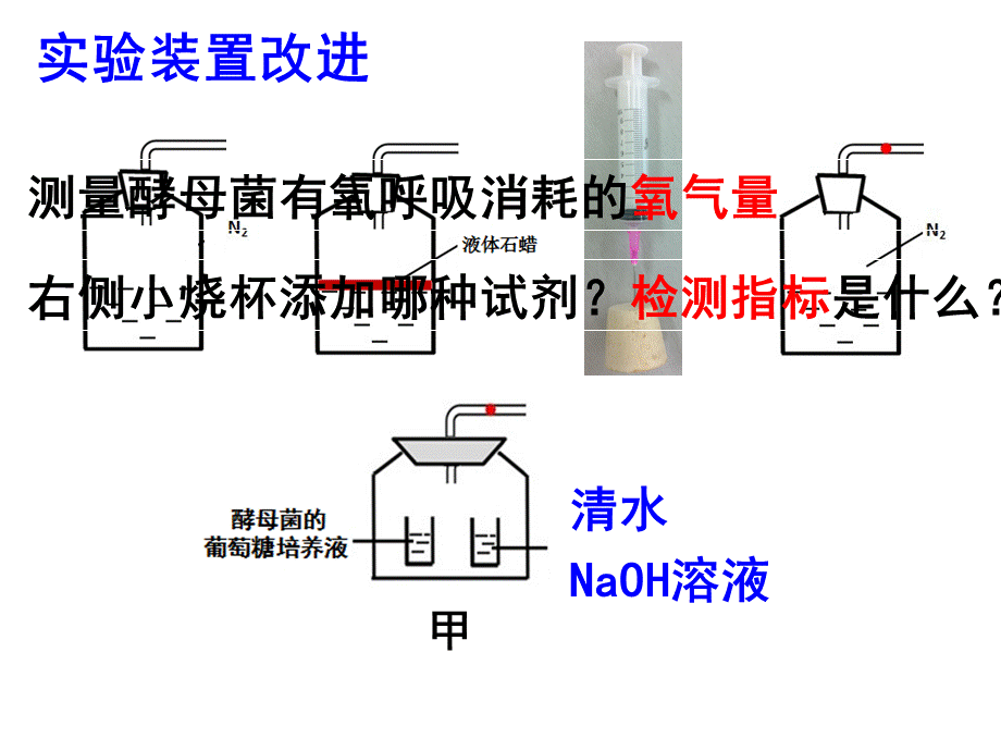 雅礼中学+生物+雷知海+细胞呼吸装置改进课件.ppt_第3页