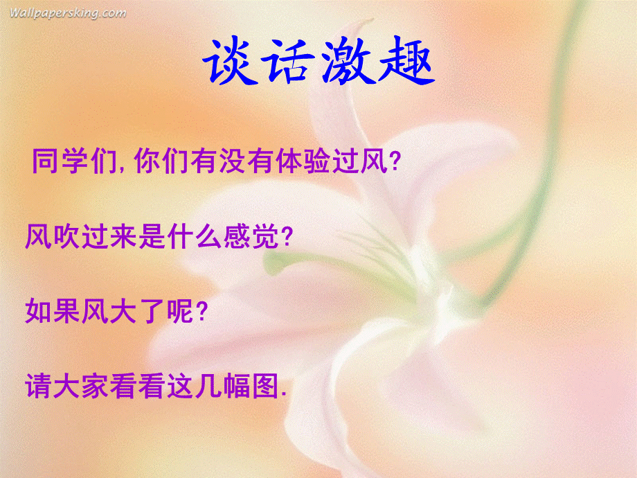 《风娃娃》PPT.ppt_第2页