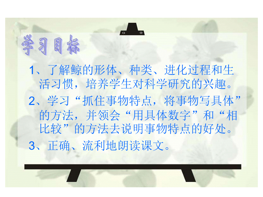 《9鲸》课件（人教版五年级上册）.ppt_第3页