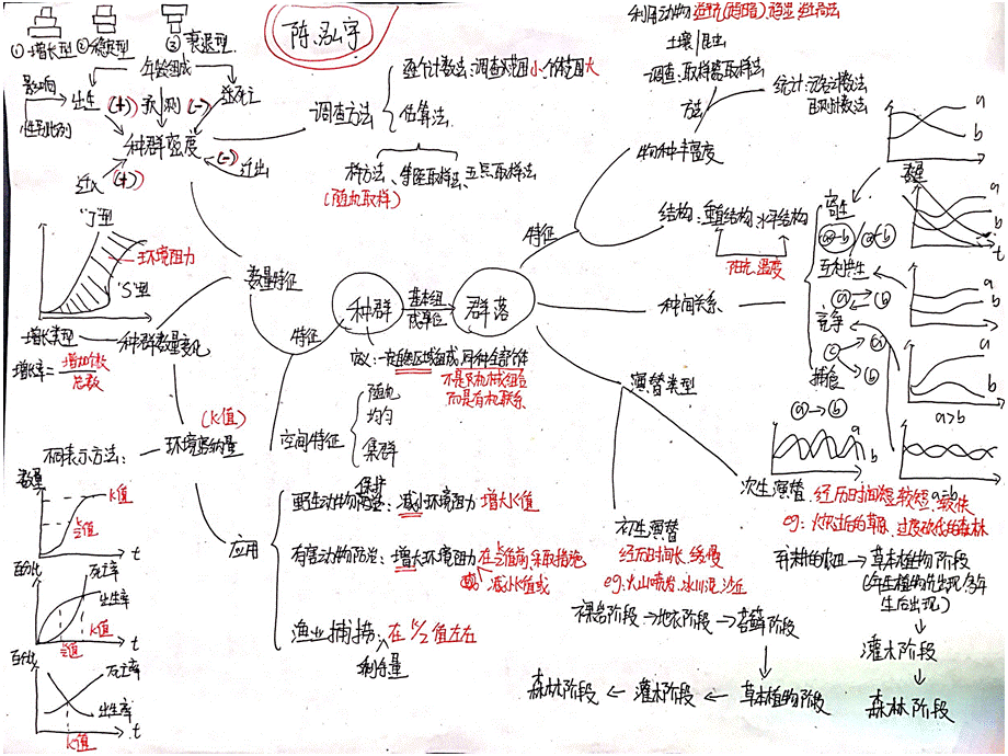 关于种群和群落的思维导图成果展.ppt_第3页