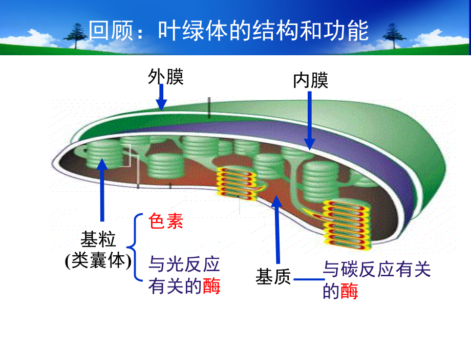 第5章光合作用的过程（第3节录像课课件）.pptx_第1页