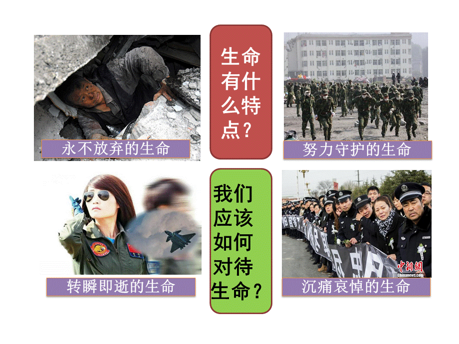 敬畏生命、.ppt_第2页