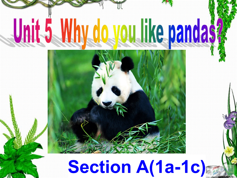 七下Unit5SectionAwhydoyoulikePandas(1a-1c).ppt_第1页