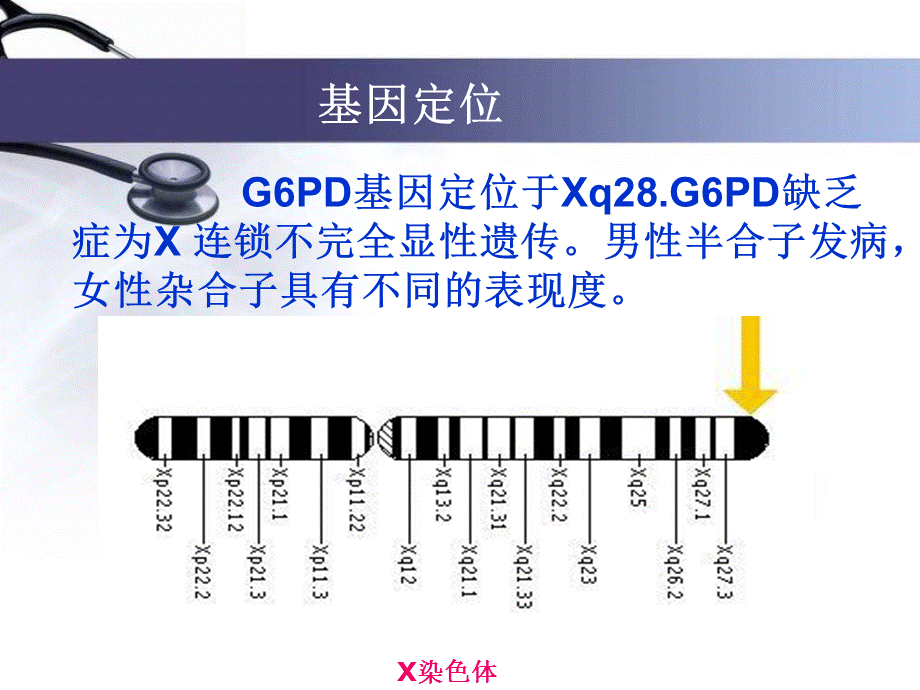 葡糖6磷酸脱氢酶缺乏蚕豆病.ppt_第3页