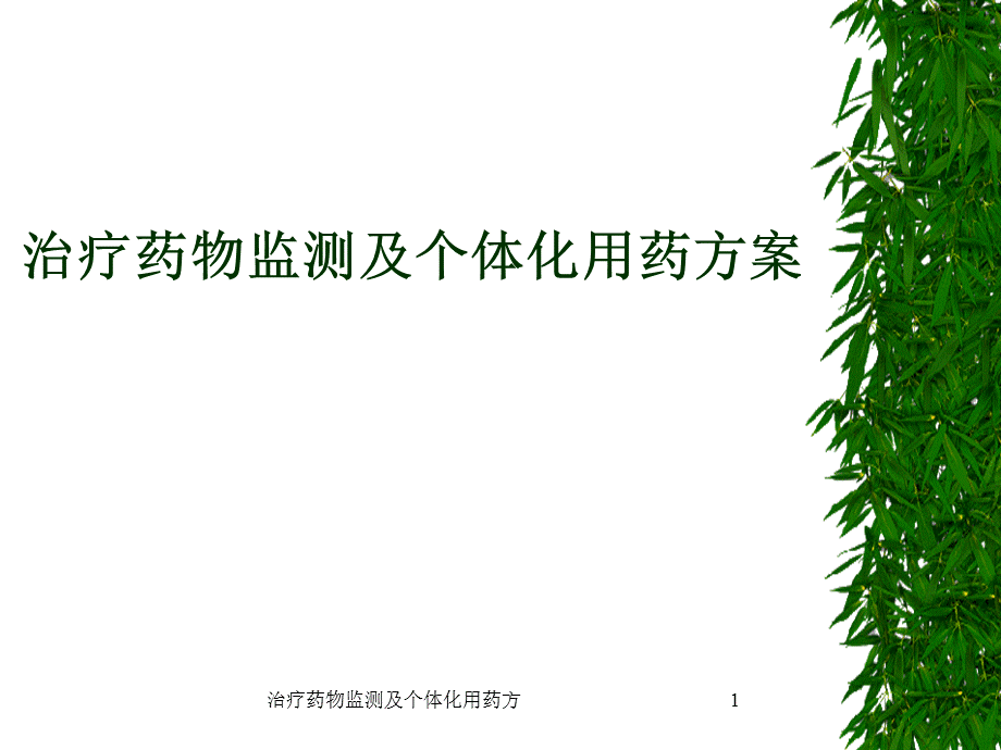 治疗药物监测及个体化用药方课件.ppt_第1页