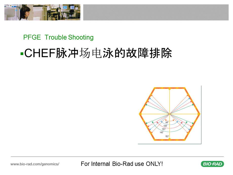 旧版PFGE脉冲场电泳技术培训4CHEF故障排除课件.ppt_第2页