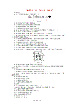 2013届高三生物一轮复习课时作业5 细胞质 浙科版.doc