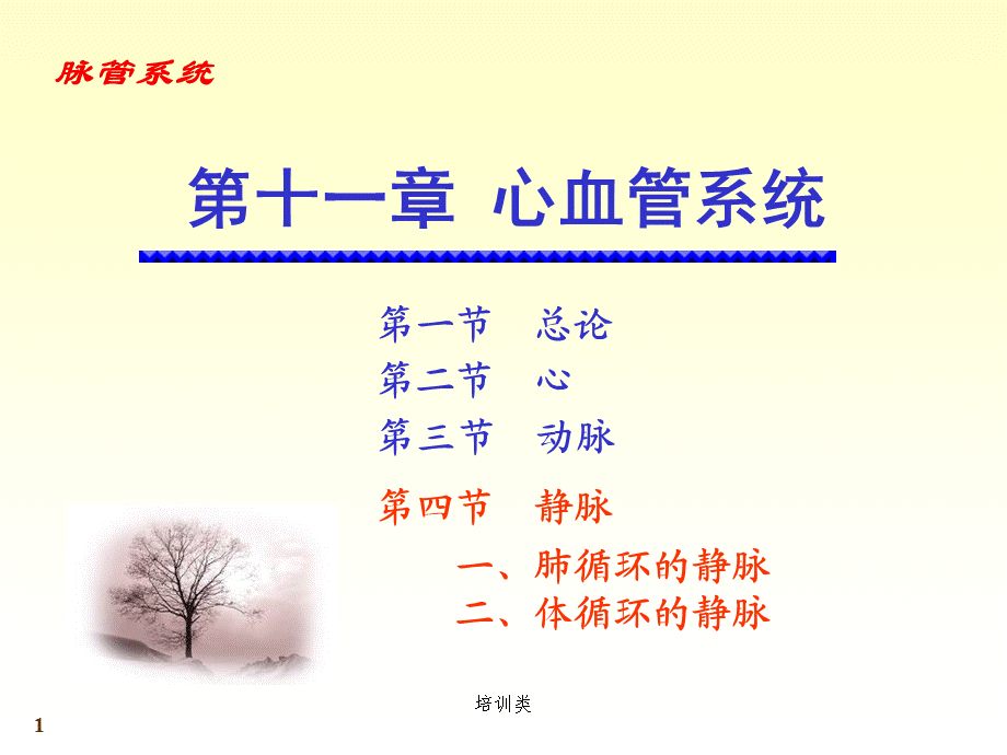 静脉系统[教育类别].ppt_第1页