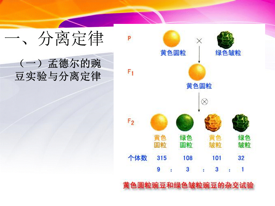 医用生物学-遗传与变异.ppt_第3页