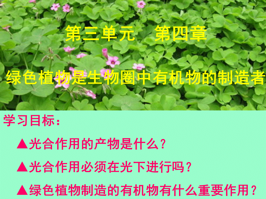 人教版初中生物七年级上册 3.4 绿色植物是生物圈中有机物的制造者 课件 (共31张PPT).ppt_第2页