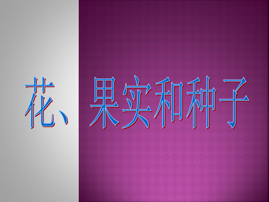 3花果实和种子.pptx_第1页