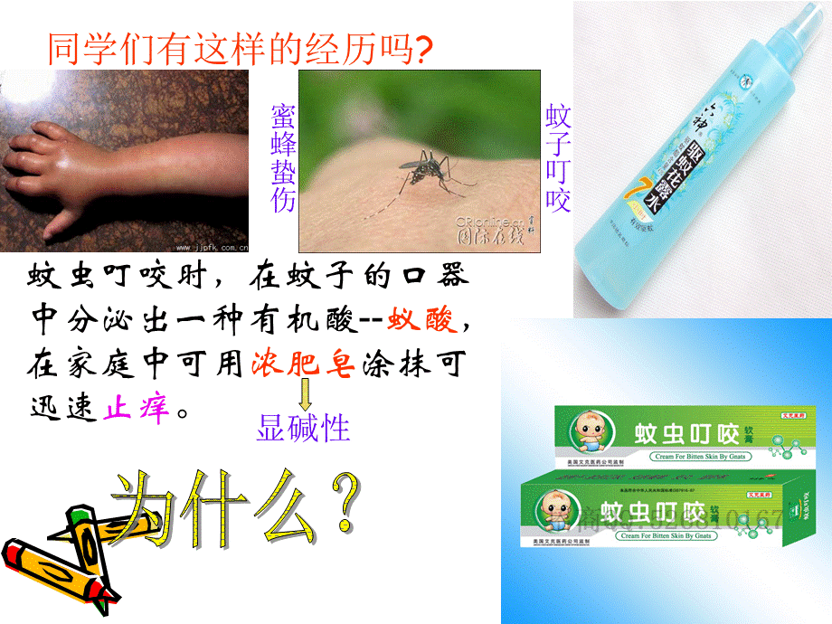 酸和碱能发生什么反应.ppt_第1页