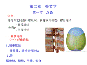 运动解剖学关节.ppt