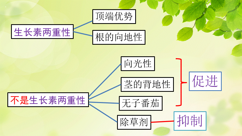 第三、四章实验总结归纳（上课用）.ppt_第3页