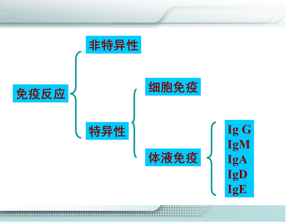 免疫性疾病患儿的护理措施.ppt_第2页