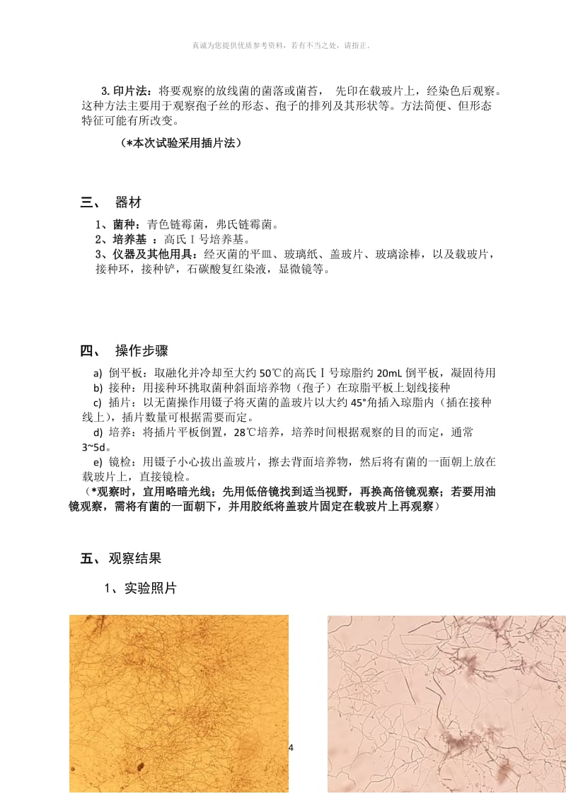 放线菌形态的观察实验报告.doc_第2页