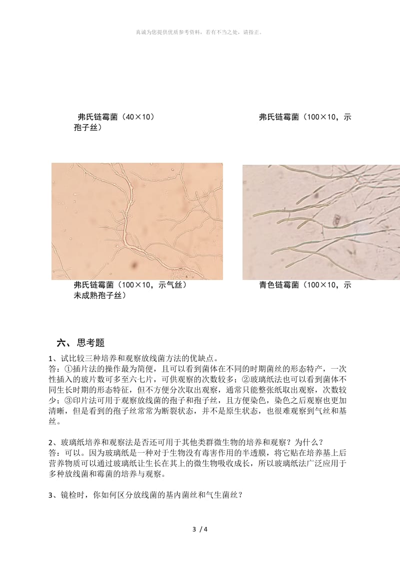 放线菌形态的观察实验报告.doc_第3页