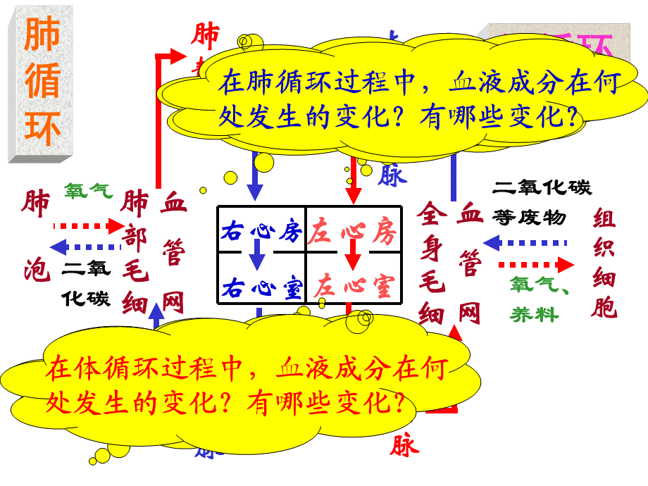 4-4-4输血与血型.ppt_第1页