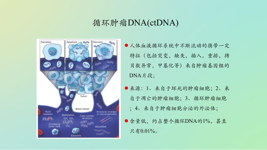 循环肿瘤DNA意义.pptx_第3页