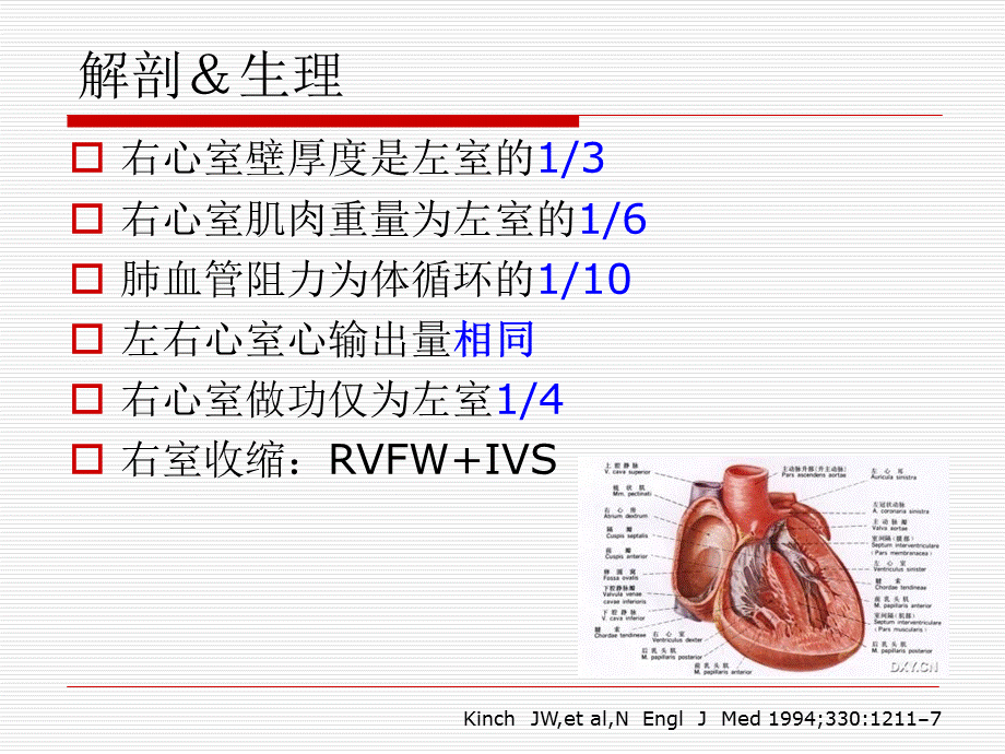 右心室心肌梗死诊断与治疗.ppt_第3页