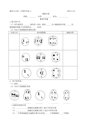 复学复习学案2减数分裂（无答案）.docx