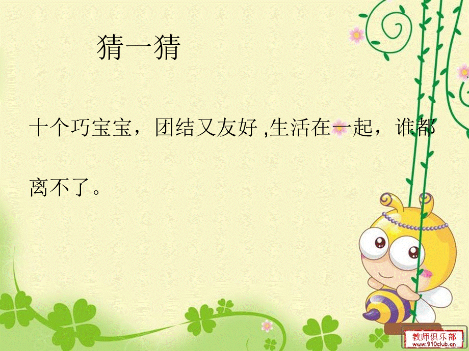 手的课件1.ppt_第2页