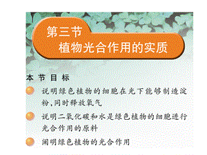 苏教版初中生物七上第3单元第六章第三节《植物光和作用的实质》课件2.ppt