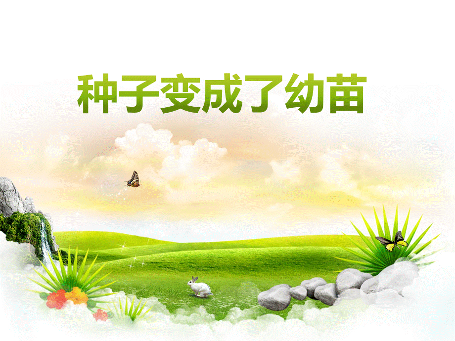 1-4《种子变成了幼苗》.ppt_第1页