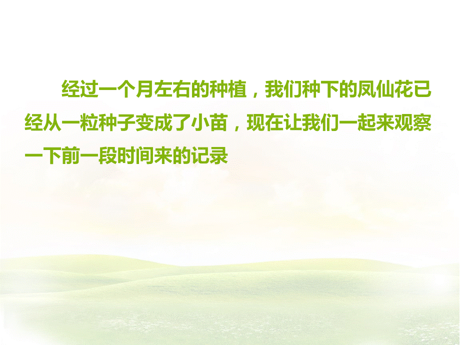 1-4《种子变成了幼苗》.ppt_第2页