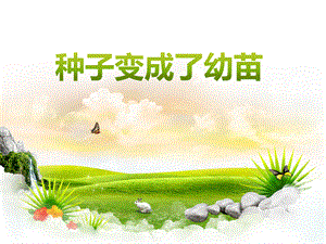 1-4《种子变成了幼苗》.ppt