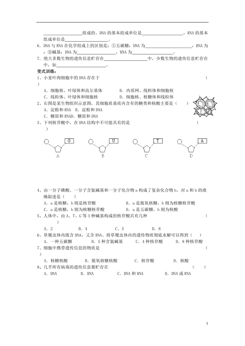 高中生物 《遗传信息的携带者——核酸》教案18 新人教版必修1.doc_第3页