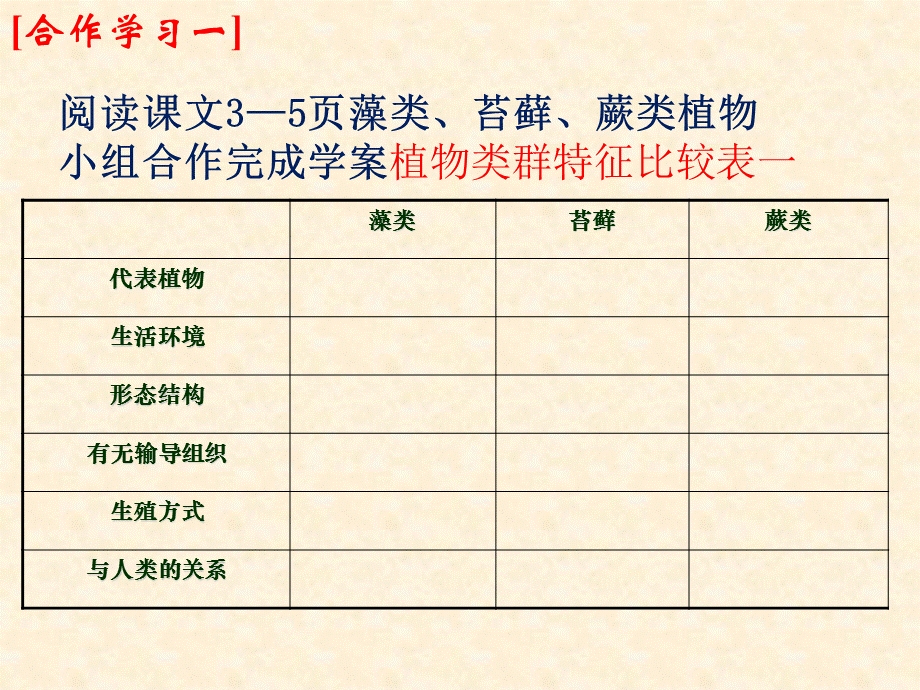 苏教版八年级生物上册第14章第1节五彩缤纷的植物世界 课件(共33张PPT).ppt_第3页