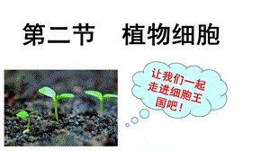 人教版七年级生物上册2.1.2植物细胞(共21张PPT).pptx