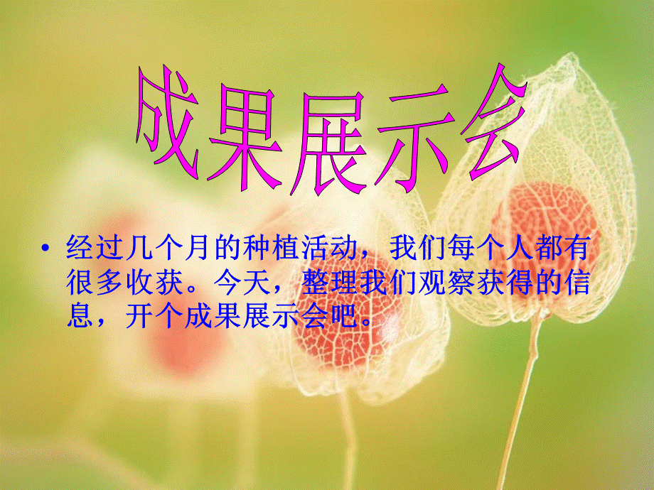 1-7《我们的大丰收》.ppt_第2页