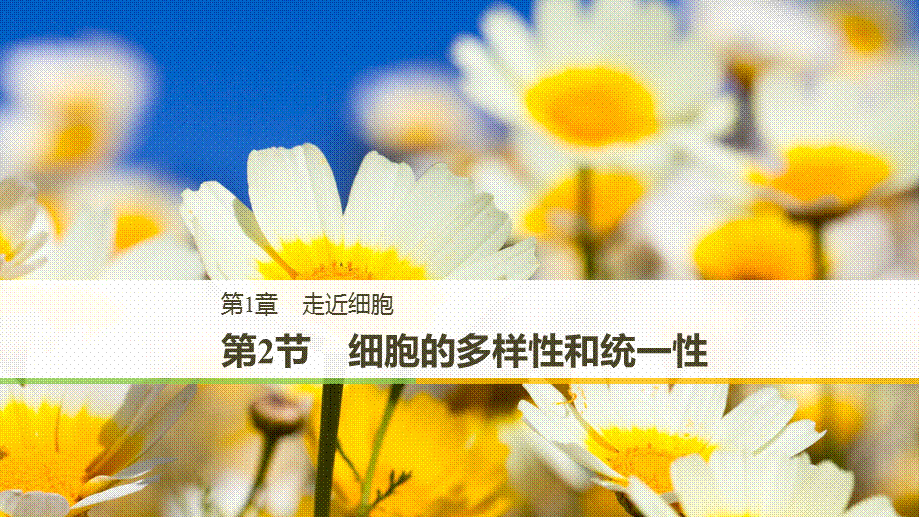 第1章第2节　细胞的多样性和统一性.pptx_第1页