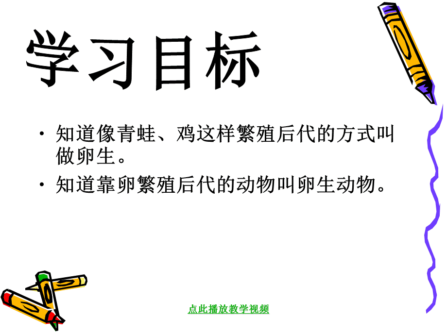 小学科学四年级下册《动物的卵》.ppt_第3页