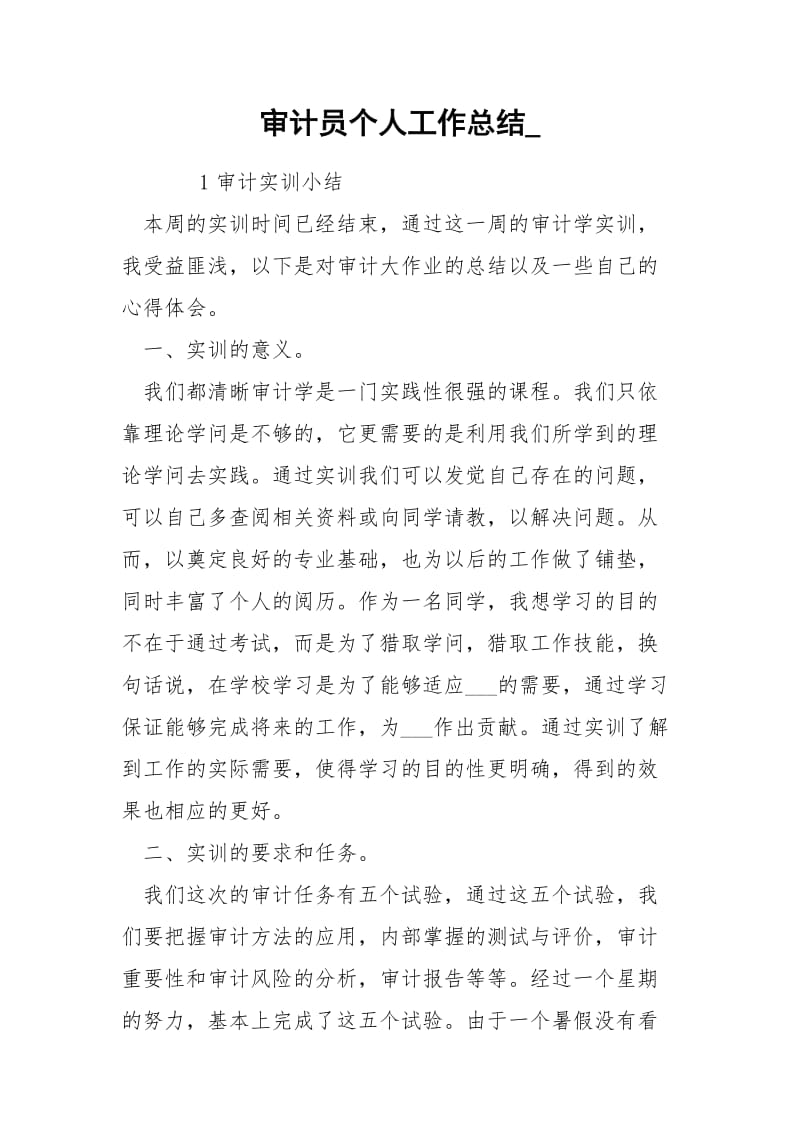 审计员个人工作总结_.docx_第1页