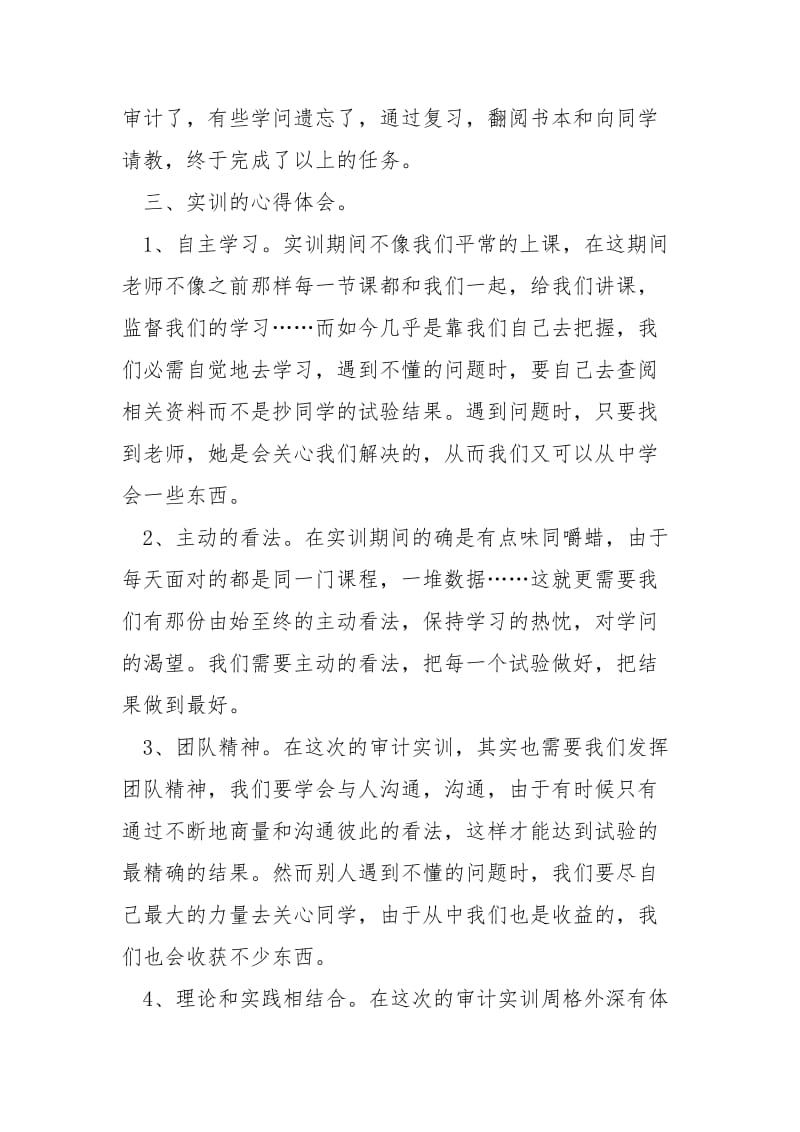 审计员个人工作总结_.docx_第2页