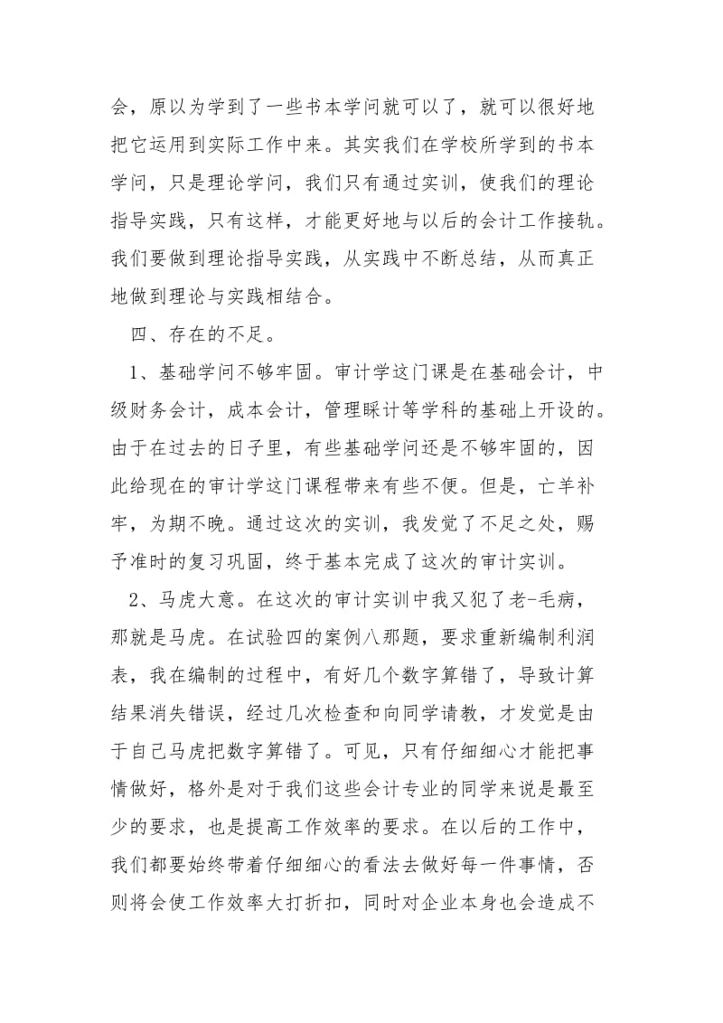 审计员个人工作总结_.docx_第3页