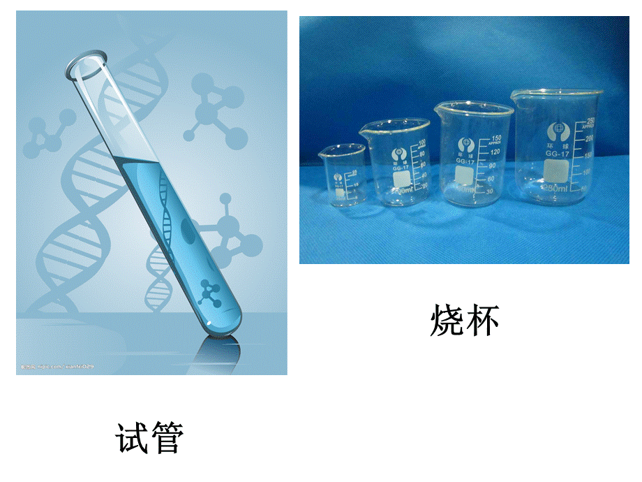 仪器识别+图示各种常见化学仪器.ppt_第1页