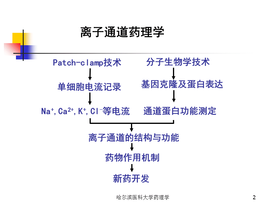 哈尔滨医科大学药理学课件.ppt_第2页