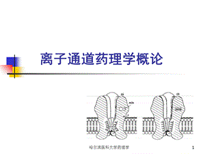 哈尔滨医科大学药理学课件.ppt